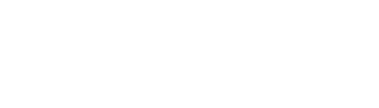 DubVibe logo